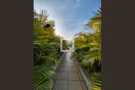 Apartamento para alugar com 380m², 5 quartos e 3 vagasTerraço