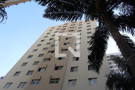 Apartamento para alugar com 54m², 2 quartos e 1 vagaÁrea comum