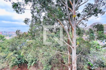 Apartamento para alugar com 38m², 2 quartos e 1 vagaVista do Quarto 2