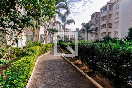 Área comum de apartamento para alugar com 2 quartos, 66m² em Parque Munhoz, São Paulo