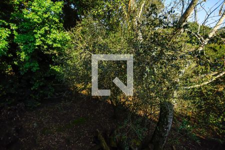 Casa de condomínio para alugar com 700m², 2 quartos e 5 vagas Casa de condomínio para alugar com 700m², 2 quartos e 5 vagasVista Área comum - Salão de jogos