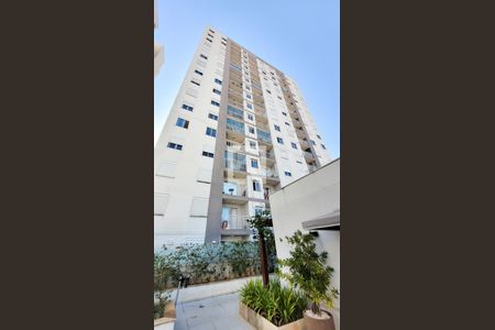 Apartamento para alugar com 55m², 2 quartos e 2 vagas Apartamento para alugar com 55m², 2 quartos e 2 vagasVista do Predio