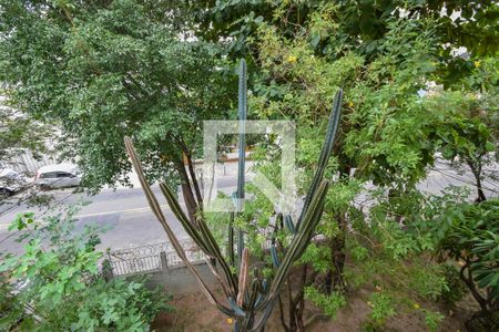 Apartamento para alugar com 67m², 4 quartos e sem vagaVista do Quarto 2