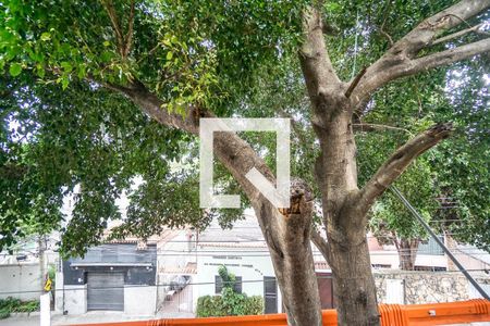 Apartamento para alugar com 1 quarto, 25m² em Cidade Mãe do Céu, São Paulo