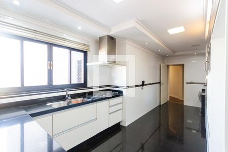 Apartamento à venda com 454m², 4 quartos e 4 vagasCozinha 