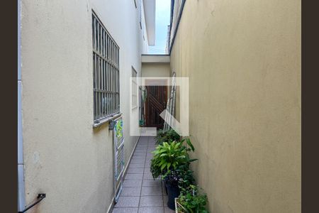 Casa para alugar com 150m², 3 quartos e 4 vagasQuintal