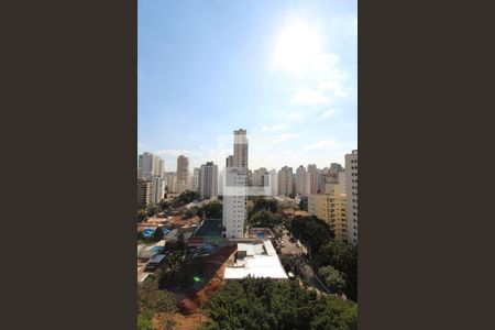 Apartamento para alugar com 260m², 3 quartos e 4 vagasVista da Suíte 1