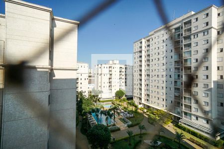 Vista do quarto de apartamento para alugar com 2 quartos, 58m² em Guaiaúna, São Paulo