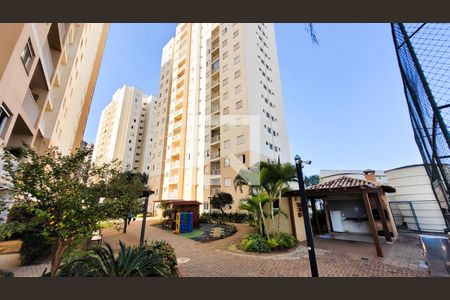 Área comum de apartamento para alugar com 2 quartos, 55m² em Bonfim, Campinas