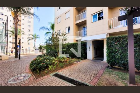 Área comum de apartamento para alugar com 2 quartos, 55m² em Bonfim, Campinas