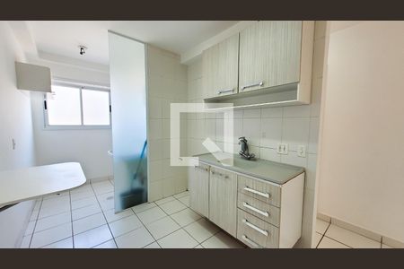 Cozinha de apartamento para alugar com 2 quartos, 55m² em Bonfim, Campinas