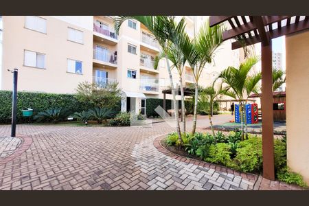 Área comum de apartamento para alugar com 2 quartos, 55m² em Bonfim, Campinas