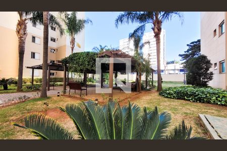 Apartamento para alugar com 55m², 2 quartos e 1 vaga Apartamento para alugar com 55m², 2 quartos e 1 vagaÁrea comum