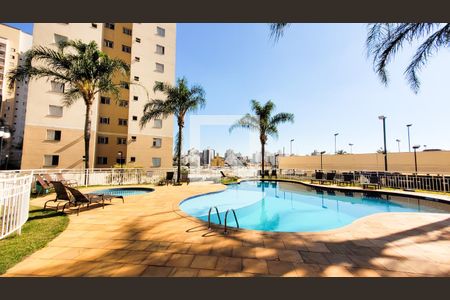 Apartamento para alugar com 55m², 2 quartos e 1 vaga Apartamento para alugar com 55m², 2 quartos e 1 vagaÁrea comum - Piscina