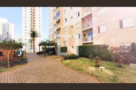 Área comum de apartamento para alugar com 2 quartos, 55m² em Bonfim, Campinas