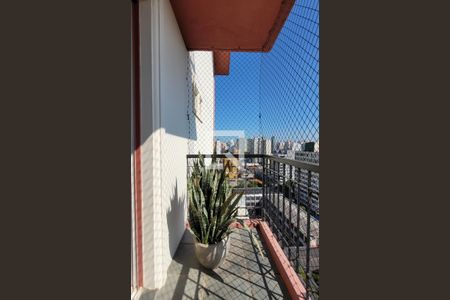 Apartamento para alugar com 178m², 3 quartos e 2 vagasSacada