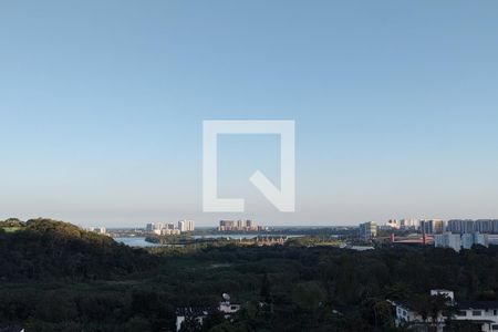 Apartamento à venda com 146m², 3 quartos e 2 vagasVista Livre