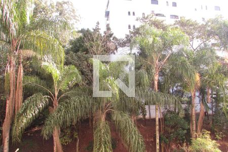 Apartamento à venda com 180m², 3 quartos e 3 vagasVaranda - vista