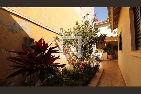 Casa à venda com 200m², 4 quartos e 4 vagasQuintal