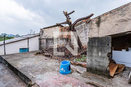 Casa à venda com 300m², 6 quartos e sem vagaQuintal