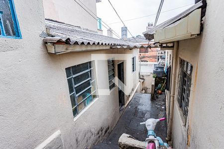 Casa à venda com 300m², 6 quartos e sem vagaQuintal