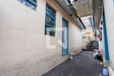 Casa à venda com 300m², 6 quartos e sem vagaQuintal