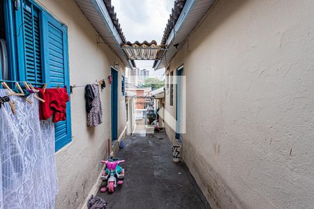 Casa à venda com 300m², 6 quartos e sem vagaQuintal