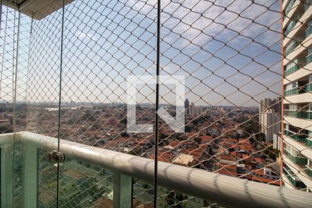 Apartamento para alugar com 66m², 2 quartos e 1 vaga Apartamento para alugar com 66m², 2 quartos e 1 vagaTerraço - Vista