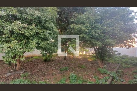 Casa à venda com 283m², 3 quartos e 8 vagasFoto 44