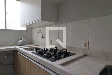 Cozinha de apartamento para alugar com 2 quartos, 54m² em Reserva Sul Condomínio Resort, Ribeirão Preto