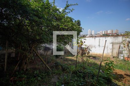 Casa à venda com 300m², 3 quartos e 4 vagas Casa à venda com 300m², 3 quartos e 4 vagasQuintal