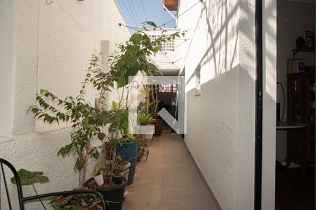 Casa à venda com 135m², 2 quartos e 1 vaga Casa à venda com 135m², 2 quartos e 1 vagaQuintal