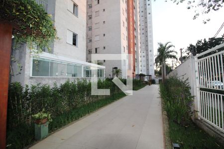 Apartamento para alugar com 50m², 2 quartos e 1 vagaÁrea Comum