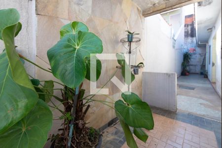 Casa à venda com 96m², 2 quartos e sem vaga Casa à venda com 96m², 2 quartos e sem vagaLavanderia - Quintal