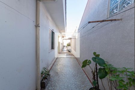 Casa à venda com 96m², 2 quartos e sem vaga Casa à venda com 96m², 2 quartos e sem vagaLavanderia - Quintal
