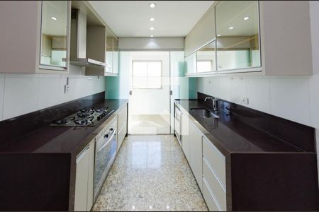 Apartamento para alugar com 186m², 3 quartos e 2 vagas Apartamento para alugar com 186m², 3 quartos e 2 vagasCozinha