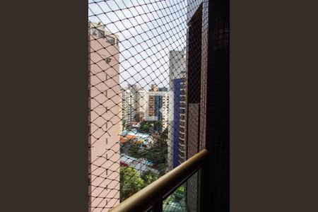 Apartamento à venda com 450m², 5 quartos e 4 vagasSACADA DA SALA DE TV