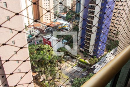 Apartamento à venda com 450m², 5 quartos e 4 vagasVISTA DA SUITE 3