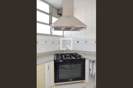 Apartamento à venda com 222m², 4 quartos e 2 vagasCozinha - detalhe fogão/coifa