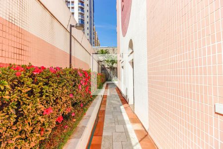 Apartamento à venda com 210m², 4 quartos e 3 vagasCorredor