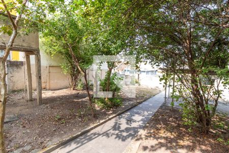 Casa à venda com 300m², 2 quartos e 3 vagasQuintal