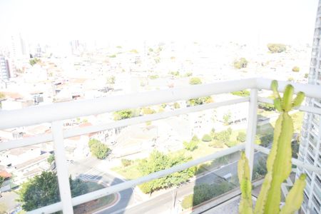 Apartamento para alugar com 186m², 3 quartos e 3 vagas Apartamento para alugar com 186m², 3 quartos e 3 vagasVista Quarto