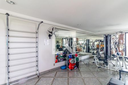 Apartamento à venda com 287m², 3 quartos e 3 vagasÁrea comum - Academia