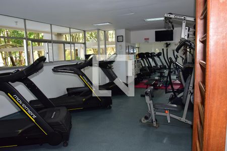 Apartamento para alugar com 74m², 3 quartos e 1 vagaÁrea comum - Academia