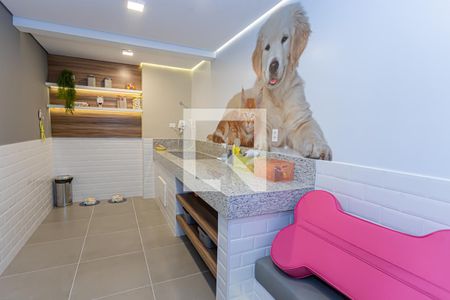 Apartamento para alugar com 31m², 1 quarto e sem vaga Apartamento para alugar com 31m², 1 quarto e sem vagaPet care