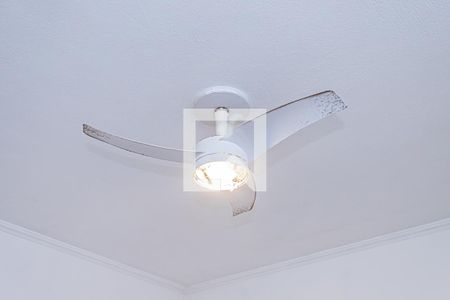 Casa à venda com 230m², 4 quartos e 2 vagasSala - edícula