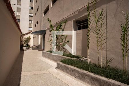 Apartamento à venda com 61m², 2 quartos e 1 vagaÁrea comum