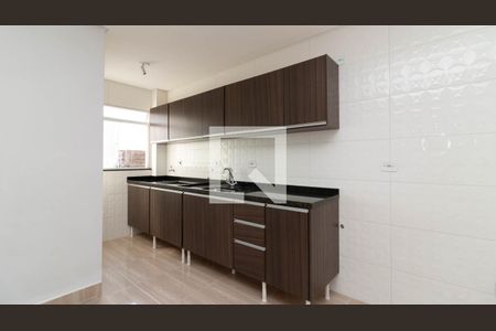 Cozinha e Área de Serviço de apartamento para alugar com 2 quartos, 49m² em Vila Nova Savoia, São Paulo