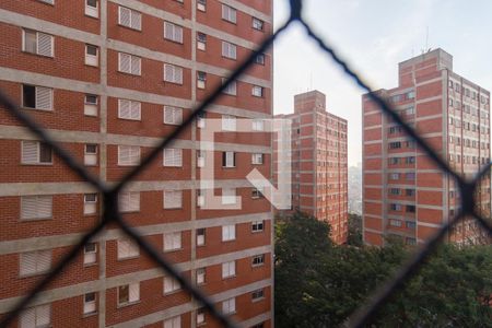 Vista do Quarto 1 de apartamento para alugar com 2 quartos, 49m² em Jardim Catanduva, São Paulo
