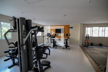 Apartamento para alugar com 75m², 3 quartos e 1 vaga Apartamento para alugar com 75m², 3 quartos e 1 vagaÁrea comum - Academia